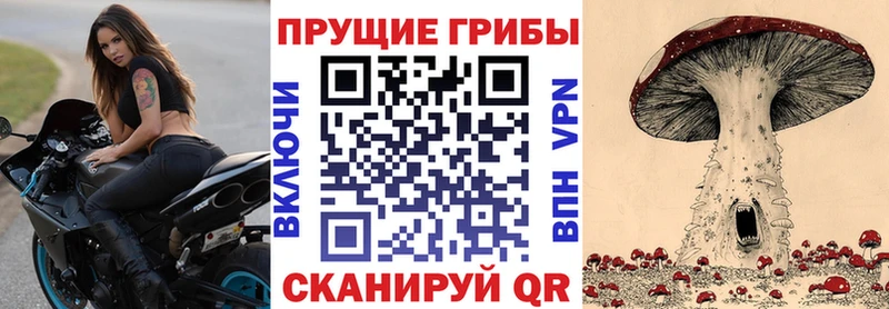 Галлюциногенные грибы Psilocybe  Купить закладки  Комсомольск-на-Амуре 